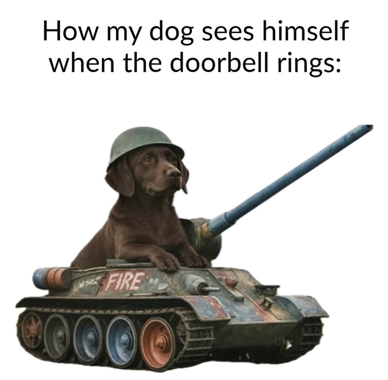 How my dog sees himself when the doorbell rings: FIRE 0000