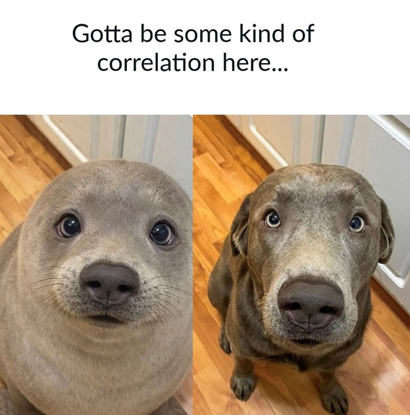 Gotta be some kind of correlation here...