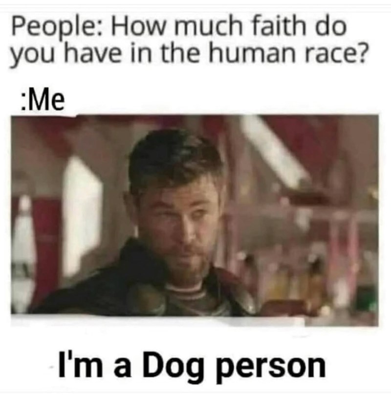 People: How much faith do you have in the human race? :Me I'm a Dog person