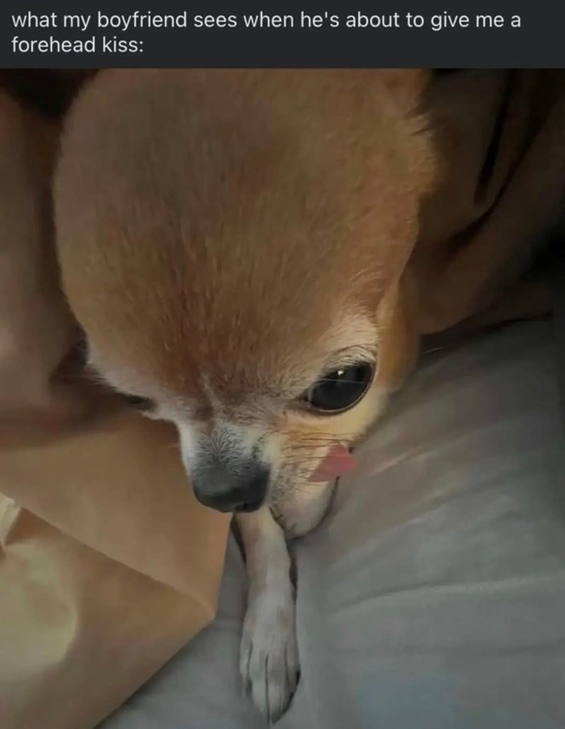 what my boyfriend sees when he's about to give me a forehead kiss: