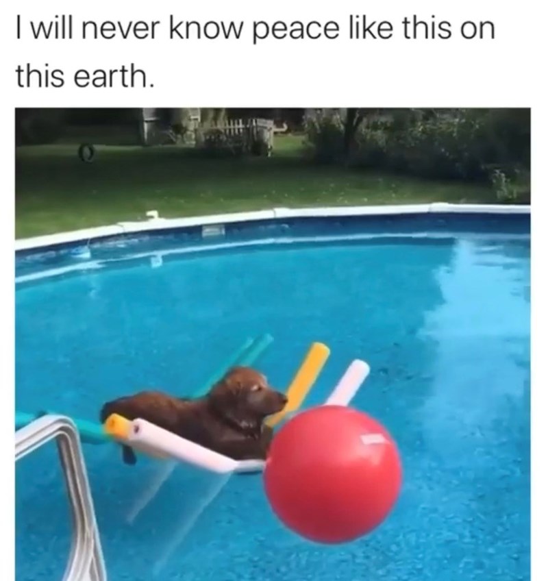 I will never know peace like this on this earth.