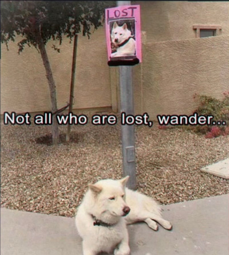 LOST Not all who are lost, wander...