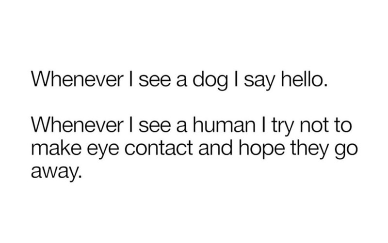 Whenever I see a dog I say hello. Whenever I see a human I try not to make eye contact and hope they go away.