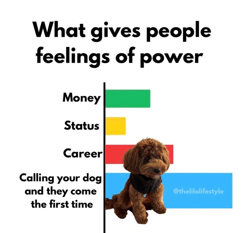 What gives people feelings of power Money Status Career Calling your dog and they come the first time @thelilolifestyle
