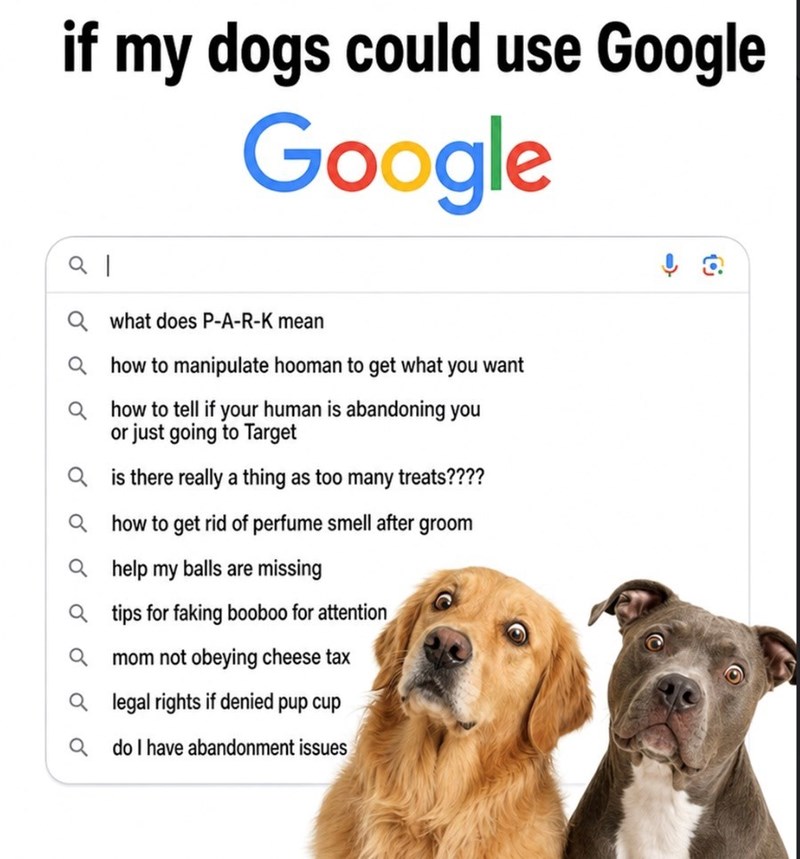 if my dogs could use Google Google what does P-A-R-K mean how to manipulate hooman to get what you want how to tell if your human is abandoning you or just going to Target Qis there really a thing as too many treats???? how to get rid of perfume smell after groom Qhelp my balls are missing Qtips for faking booboo for attention mom not obeying cheese tax Q legal rights if denied pup cup do I have abandonment issues