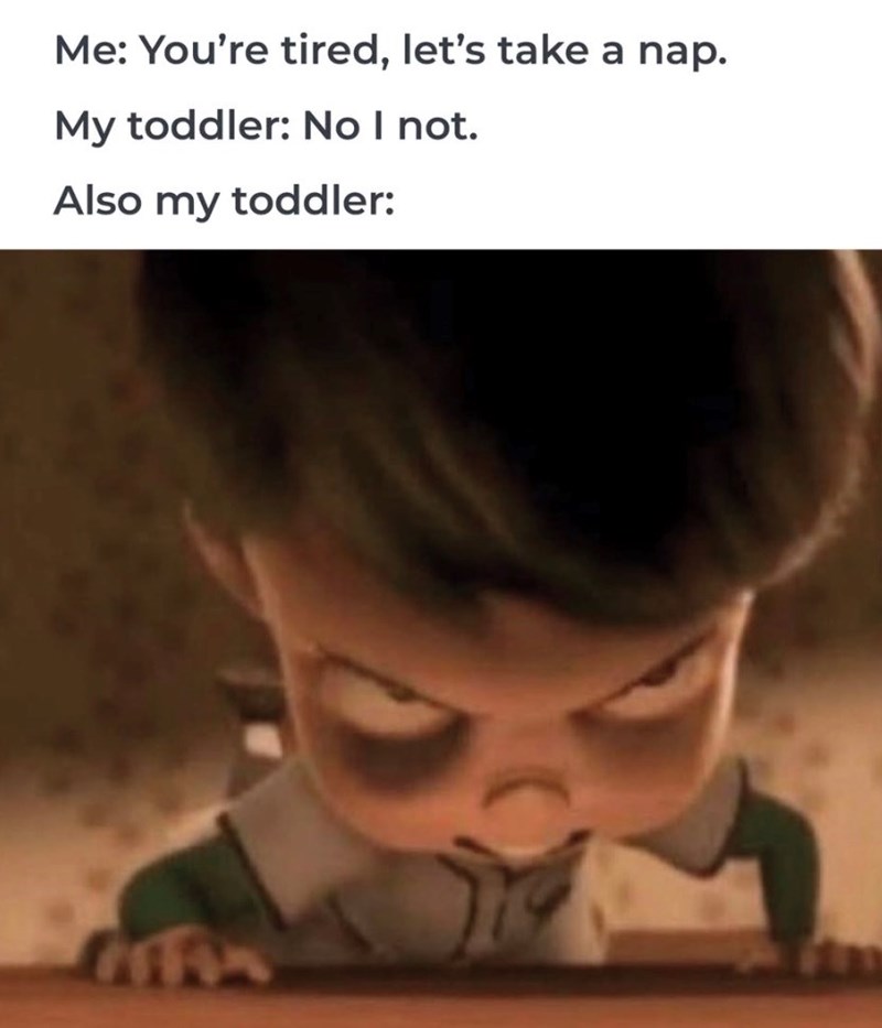 www Me: You're tired, let's take a nap. My toddler: No I not. Also my toddler: