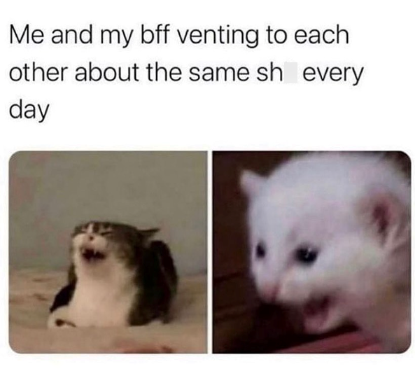 Me and my bff venting to each other about the same sh every day