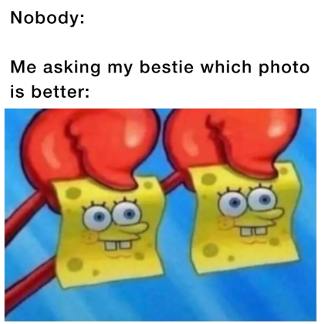 Nobody: Me asking my bestie which photo is better: