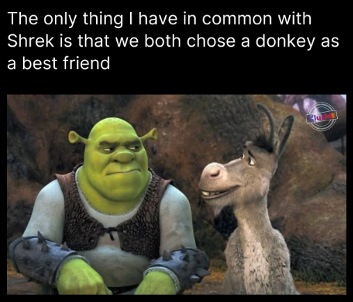 The only thing I have in common with Shrek is that we both chose a donkey as a best friend lu