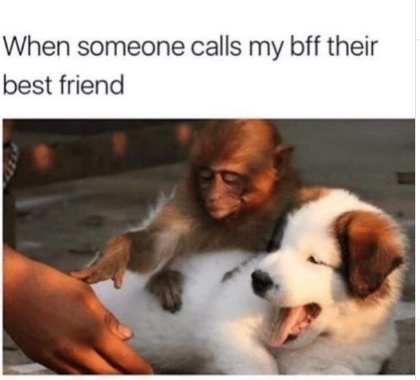 When someone calls my bff their best friend