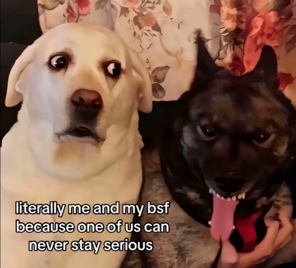 literally me and my bsf because one of us can never stay serious