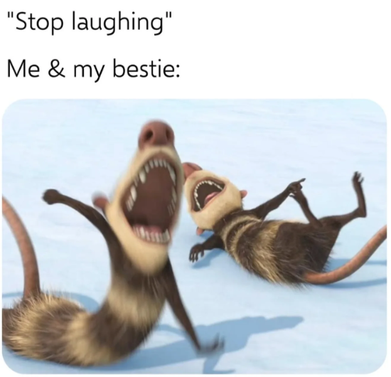 "Stop laughing" Me & my bestie: