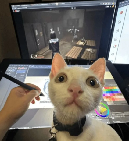 田