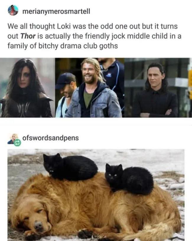 merianymerosmartell We all thought Loki was the odd one out but it turns out Thor is actually the friendly jock middle child in a family of bitchy drama club goths ofswordsandpens