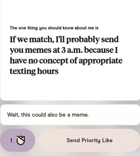 The one thing you should know about me is If we match, I'll probably send you memes at 3 a.m. because I have no concept of appropriate texting hours Wait, this could also be a meme. 10 Send Priority Like