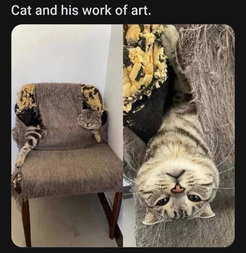 Cat and his work of art.