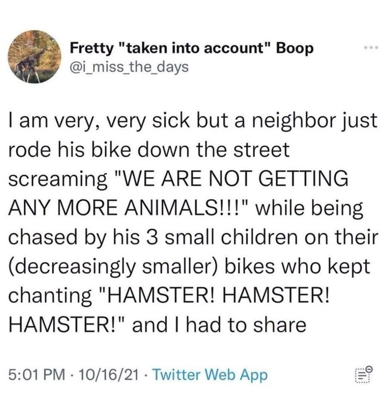 Fretty "taken into account" Boop @i_miss_the_days * I am very, very sick but a neighbor just rode his bike down the street screaming "WE ARE NOT GETTING ANY MORE ANIMALS!!!" while being chased by his 3 small children on their (decreasingly smaller) bikes who kept chanting "HAMSTER! HAMSTER! HAMSTER!" and I had to share 5:01 PM 10/16/21 Twitter Web App .