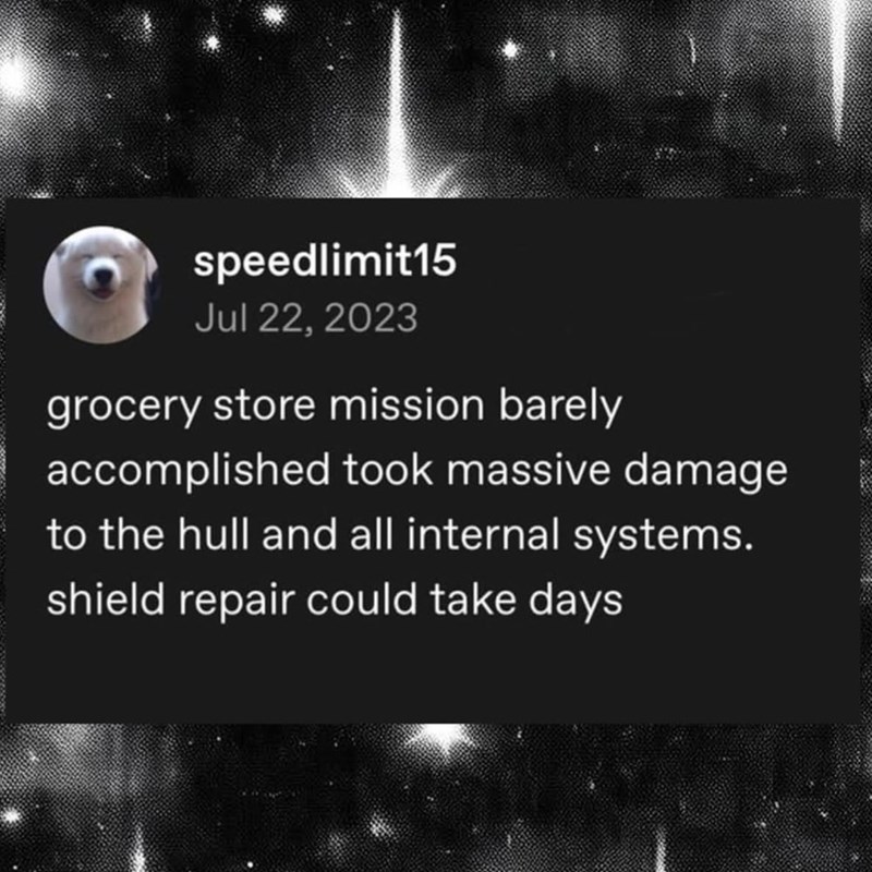 speedlimit15 Jul 22, 2023 grocery store mission barely accomplished took massive damage to the hull and all internal systems. shield repair could take days
