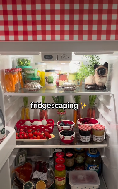 siggit fridgescaping++ Masie