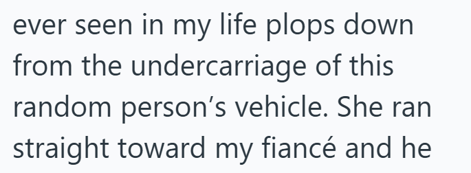 ever seen in my life plops down from the undercarriage of this random person's vehicle. She ran straight toward my fiancé and he
