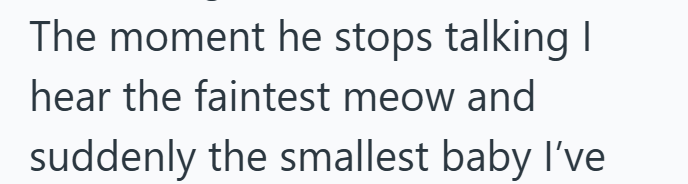 The moment he stops talking I hear the faintest meow and suddenly the smallest baby I've