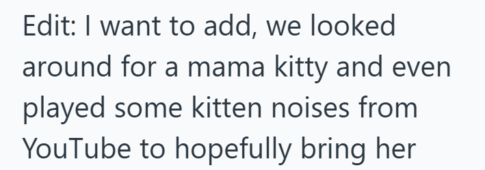 Edit: I want to add, we looked around for a mama kitty and even played some kitten noises from YouTube to hopefully bring her