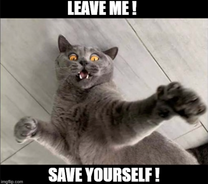 LEAVE ME! SAVE YOURSELF! imgflip.com