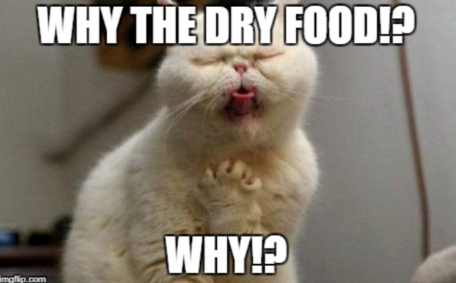 imgflip.com WHY THE DRY FOOD!? WHY!?