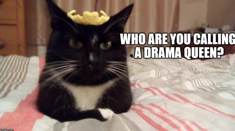 imaflip.com WHO ARE YOU CALLING A DRAMA QUEEN?