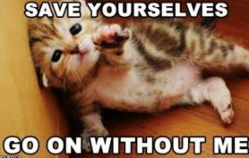 SAVE YOURSELVES GO ON WITHOUT ME imafin.com