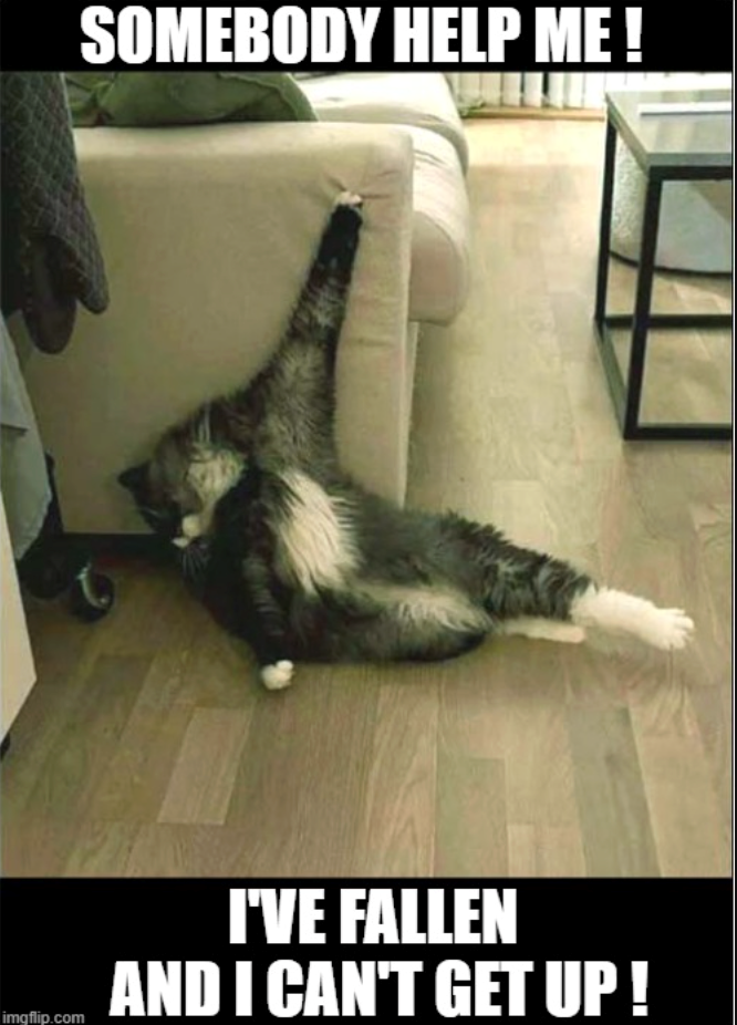 SOMEBODY HELP ME! imgflip.com I'VE FALLEN AND I CAN'T GET UP!
