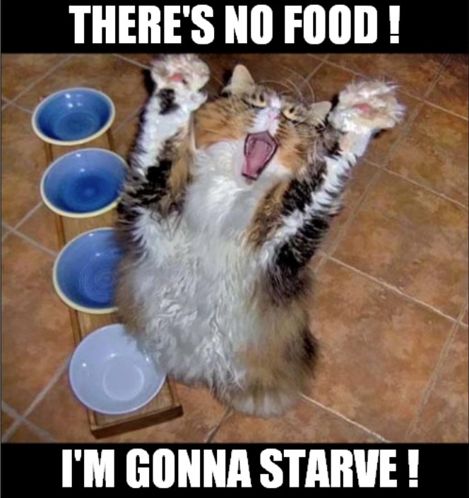 THERE'S NO FOOD! I'M GONNA STARVE!