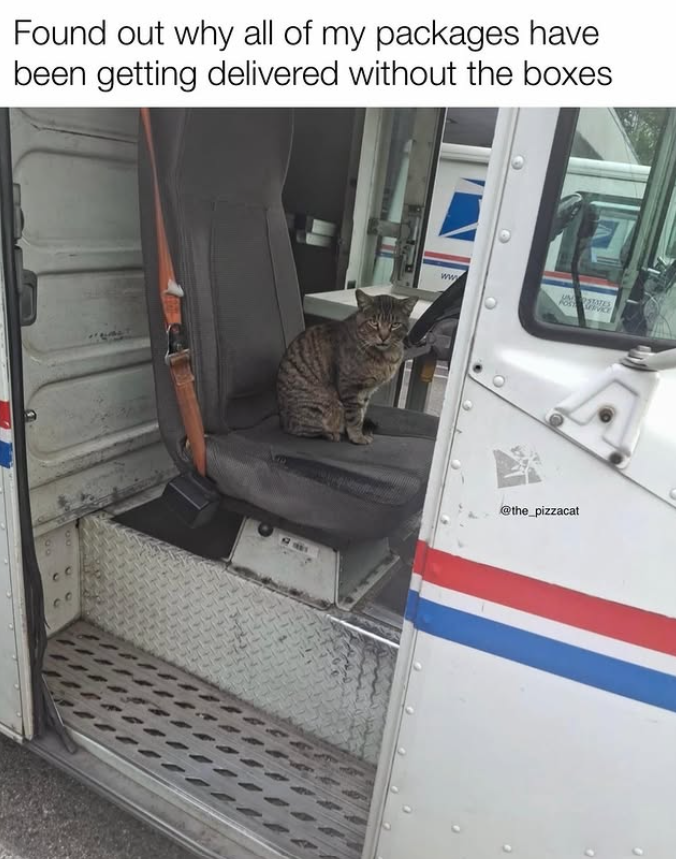 Found out why all of my packages have been getting delivered without the boxes ww @the_pizzacat