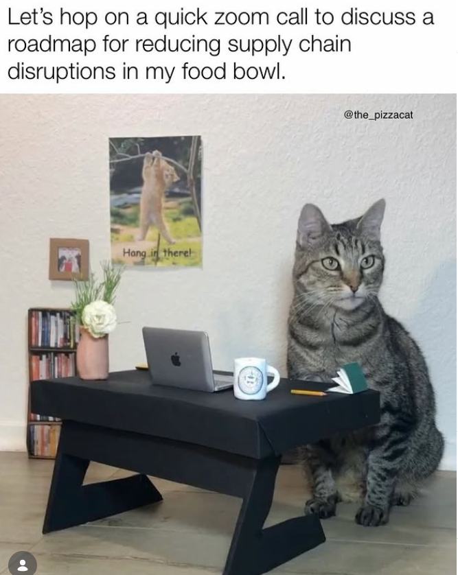 Let's hop on a quick zoom call to discuss a roadmap for reducing supply chain disruptions in my food bowl. 21 Hang in there! @the_pizzacat