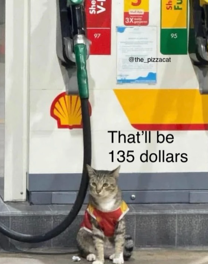 She V-I 97 3X 95 @the_pizzacat That'll be 135 dollars