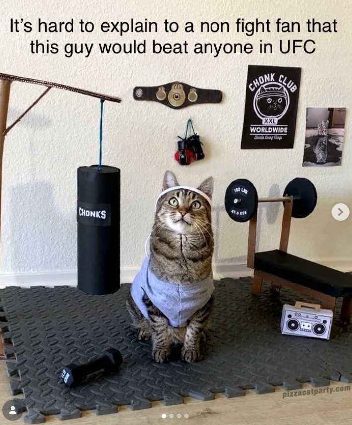 It's hard to explain to a non fight fan that this guy would beat anyone in UFC CHONK CLUB CHONKS 100 L XXL WORLDWIDE Chunks Day Things > pizzacatparty.com