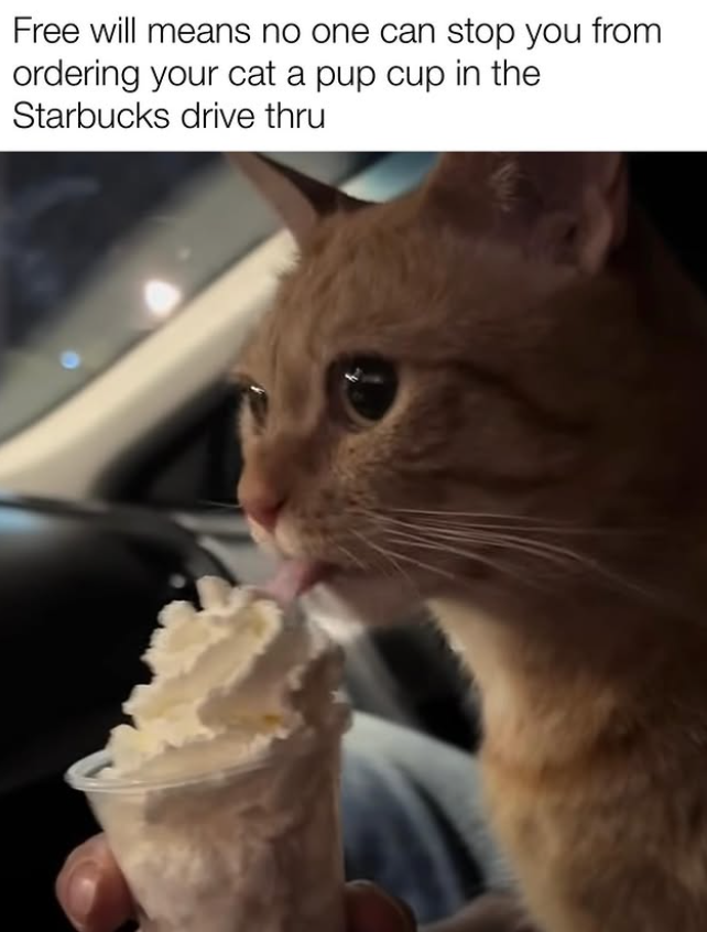 Free will means no one can stop you from ordering your cat a pup cup in the Starbucks drive thru