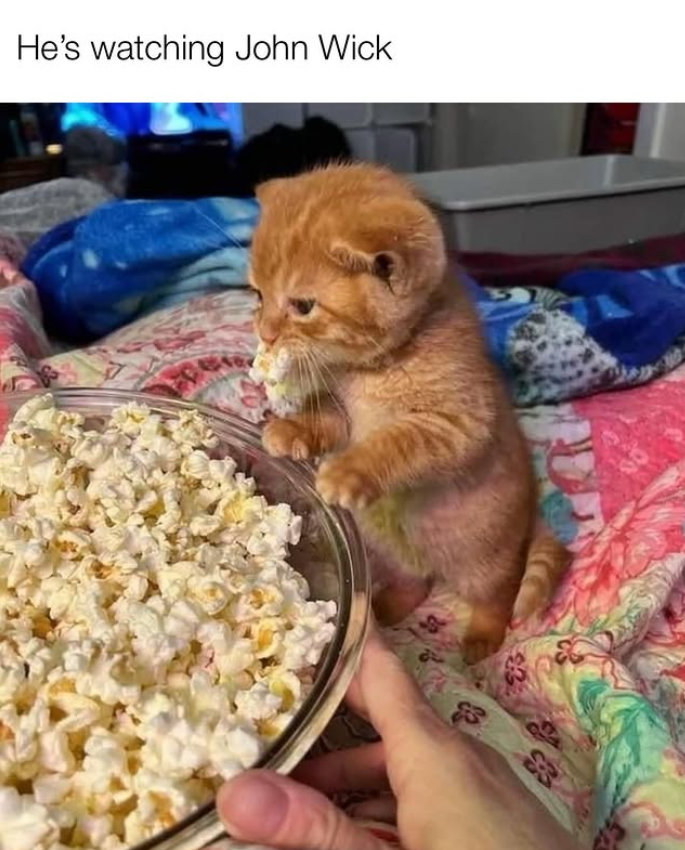 op He's watching John Wick