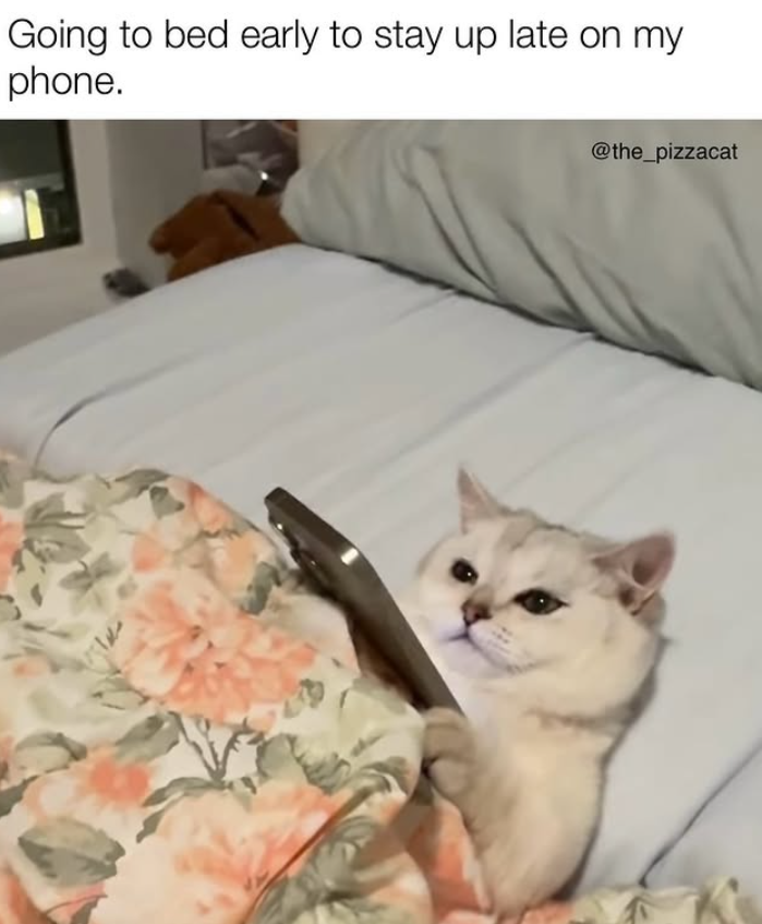 Going to bed early to stay up late on my phone. @the_pizzacat