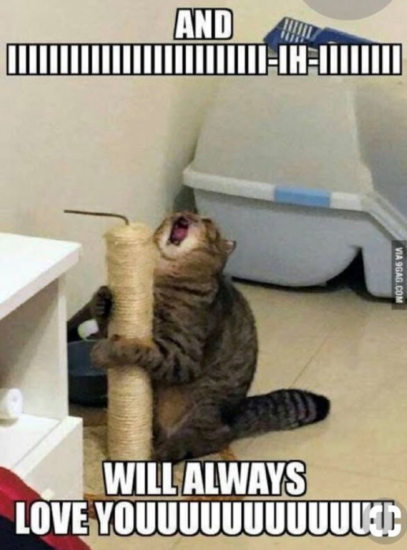 AND VIA 9GAG.COM WILL ALWAYS LOVE YOUUUUUUUUUUU▸