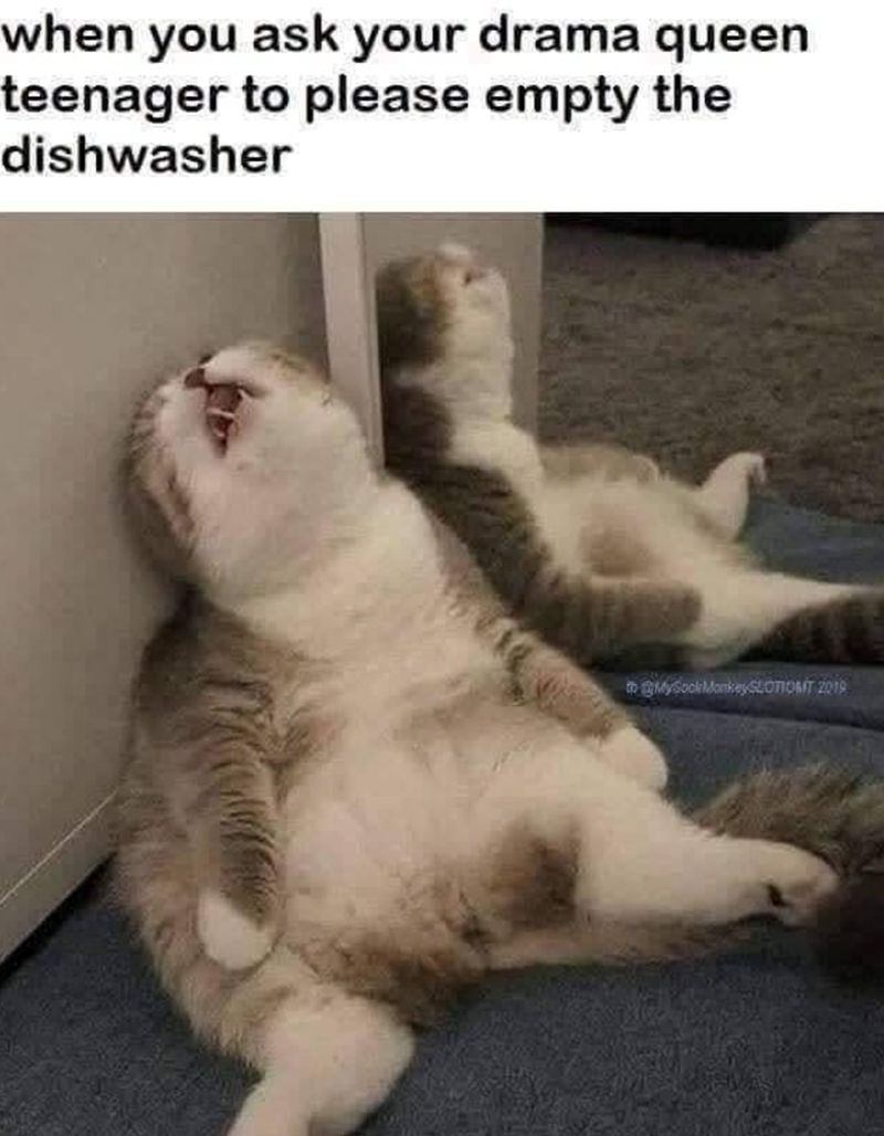 when you ask your drama queen teenager to please empty the dishwasher to MySock Monkey SLOTIONT 2019