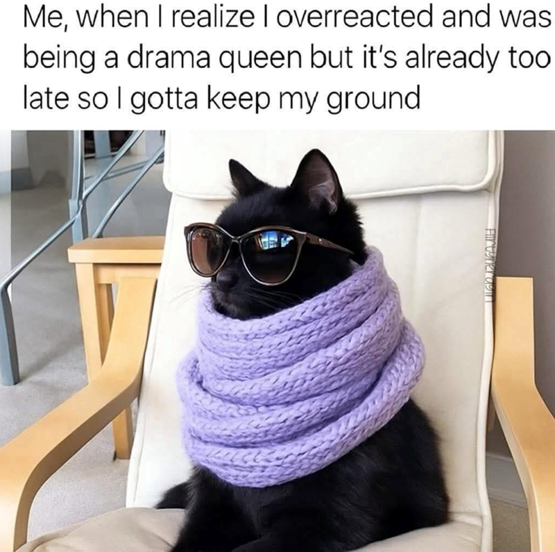 Me, when I realize I overreacted and was being a drama queen but it's already too late so I gotta keep my ground Fir toner agi