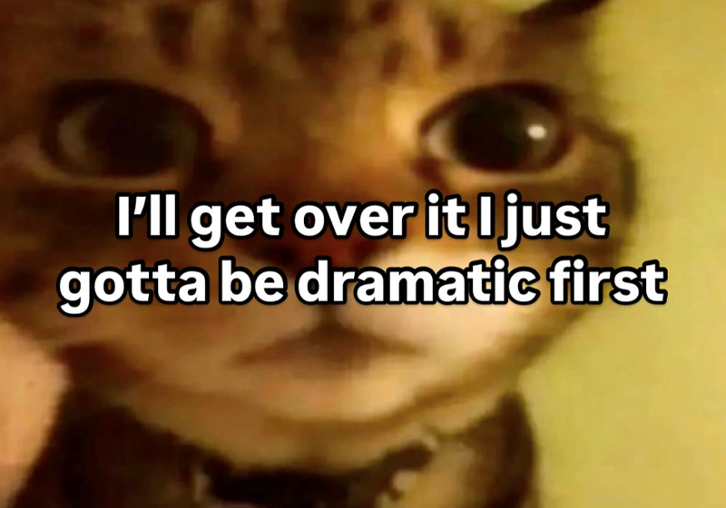 I'll get over it I just gotta be dramatic first