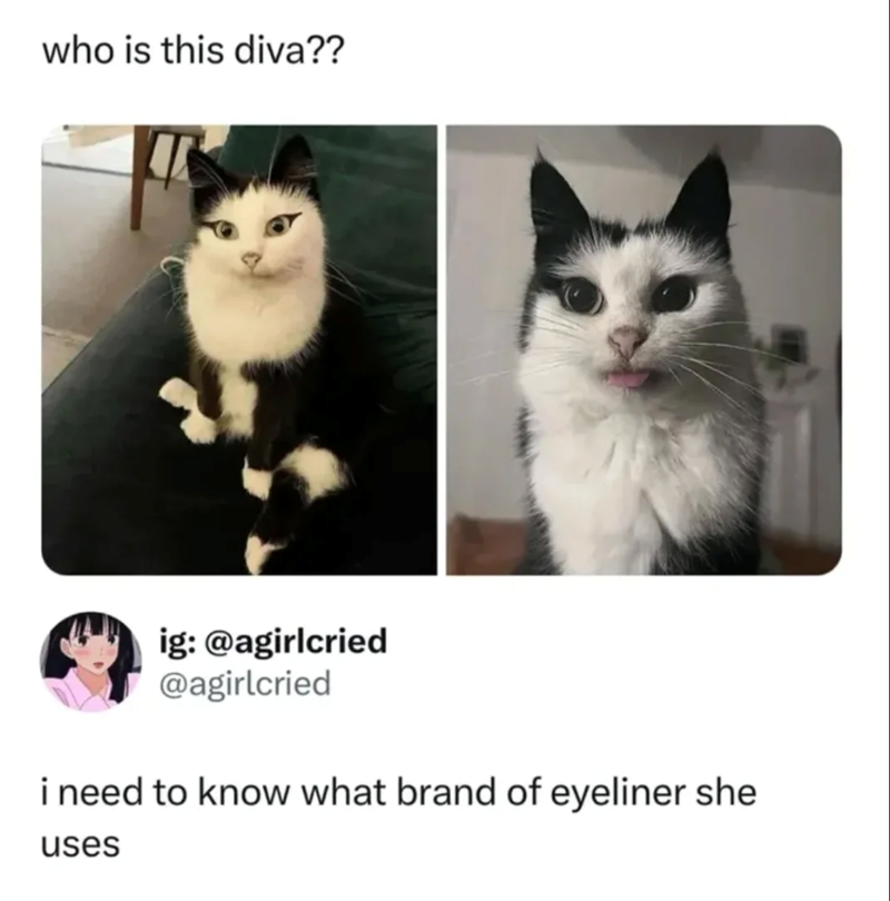 who is this diva?? ig: @agirlcried @agirlcried i need to know what brand of eyeliner she uses