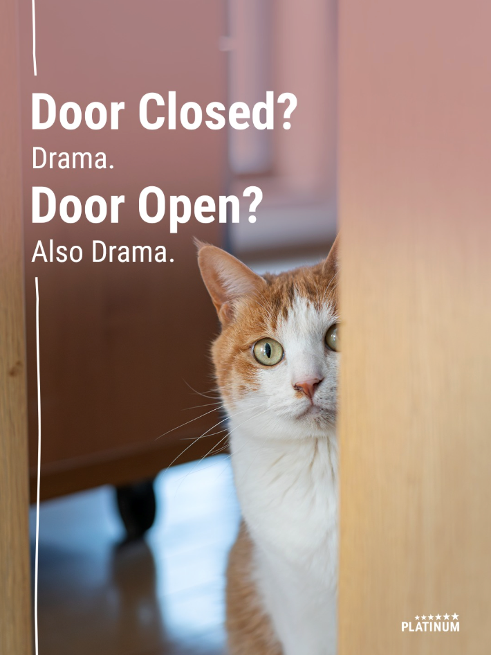 Door Closed? Drama. Door Open? Also Drama. PLATINUM