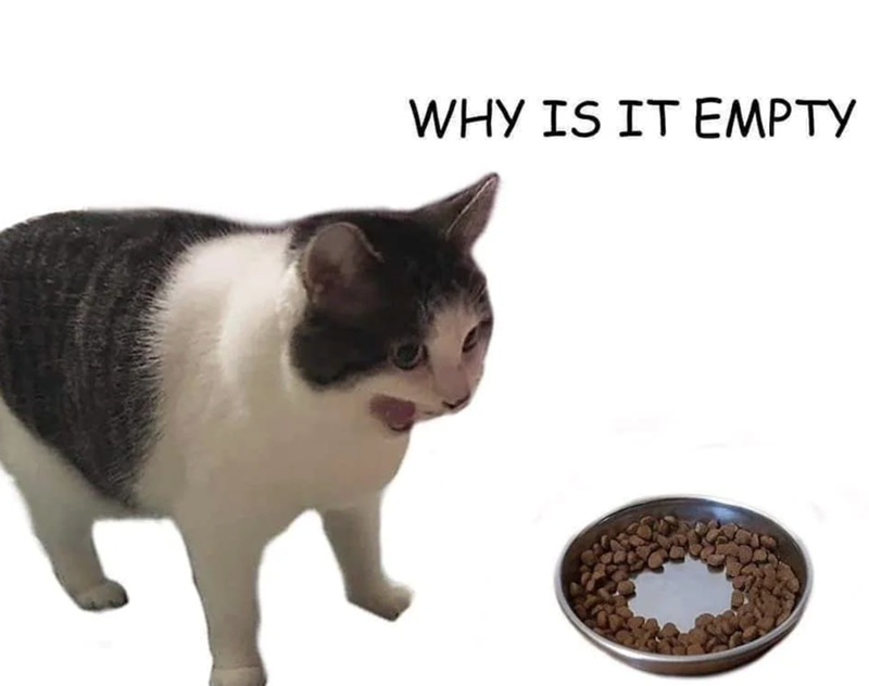 WHY IS IT EMPTY