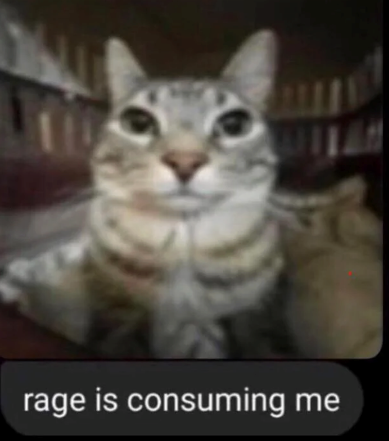 rage is consuming me