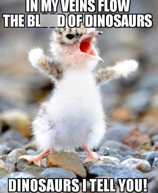 IN MY VEINS FLOW THE BLOOD OF DINOSAURS DINOSAURS I TELL YOU!