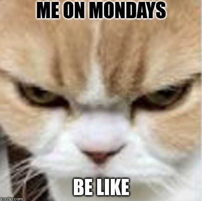 imgflip.com ME ON MONDAYS BE LIKE
