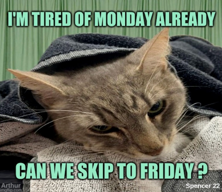 I'M TIRED OF MONDAY ALREADY CAN WE SKIP TO FRIDAY? Arthur imgflip.com Spencer 22
